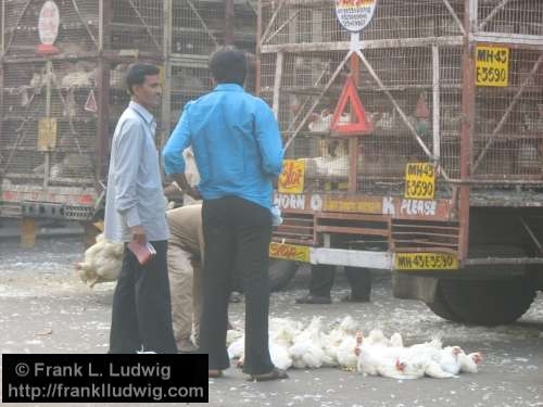 Crawford Market, Bombay, Mumbai, India